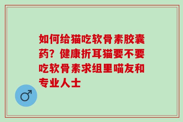 如何给猫吃软骨素胶囊药？健康折耳猫要不要吃软骨素求组里喵友和专业人士