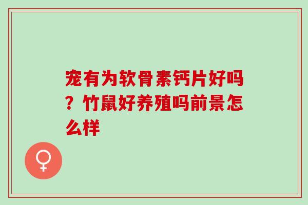 宠有为软骨素钙片好吗？竹鼠好养殖吗前景怎么样