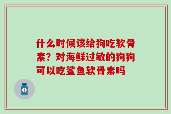什么时候该给狗吃软骨素?对海鲜的狗狗可以吃鲨鱼软骨素吗 什么时候该给狗吃软骨素?对海鲜的狗狗可以吃鲨鱼软骨素吗