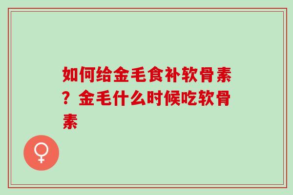 如何给金毛食补软骨素？金毛什么时候吃软骨素