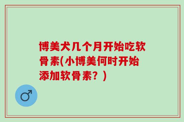 博美犬几个月开始吃软骨素(小博美何时开始添加软骨素？)