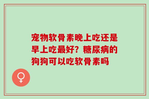 宠物软骨素晚上吃还是早上吃最好？糖尿病的狗狗可以吃软骨素吗