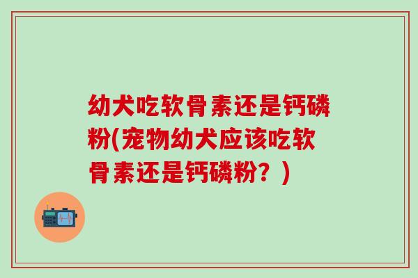 幼犬吃软骨素还是钙磷粉(宠物幼犬应该吃软骨素还是钙磷粉?) 幼犬吃软骨素还是钙磷粉(宠物幼犬应该吃软骨素还是钙磷粉?)