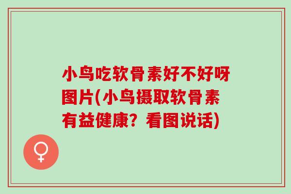 小鸟吃软骨素好不好呀图片(小鸟摄取软骨素有益健康？看图说话)
