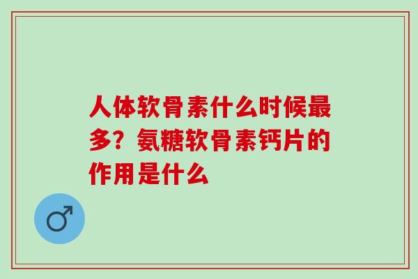 人体软骨素什么时候最多？氨糖软骨素钙片的作用是什么