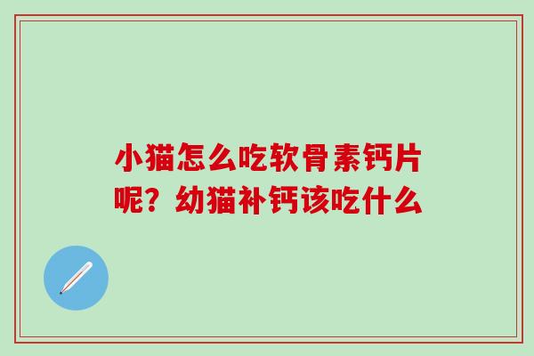 小猫怎么吃软骨素钙片呢？幼猫补钙该吃什么