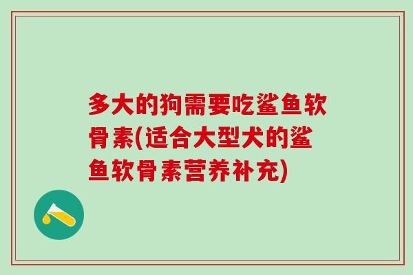 多大的狗需要吃鲨鱼软骨素(适合大型犬的鲨鱼软骨素营养补充)