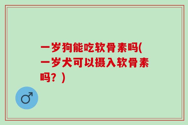 一岁狗能吃软骨素吗(一岁犬可以摄入软骨素吗?) 一岁狗能吃软骨素吗(一岁犬可以摄入软骨素吗?)