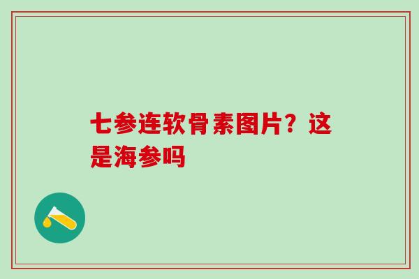七参连软骨素图片？这是海参吗