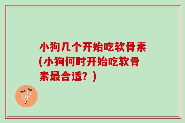 小狗几个开始吃软骨素(小狗何时开始吃软骨素最合适？)