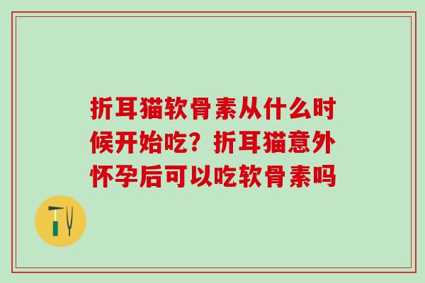 折耳猫软骨素从什么时候开始吃?折耳猫意外怀孕后可以吃软骨素吗 折耳猫软骨素从什么时候开始吃?折耳猫意外怀孕后可以吃软骨素吗