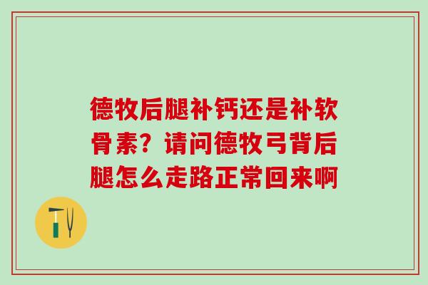 德牧后腿补钙还是补软骨素？请问德牧弓背后腿怎么走路正常回来啊