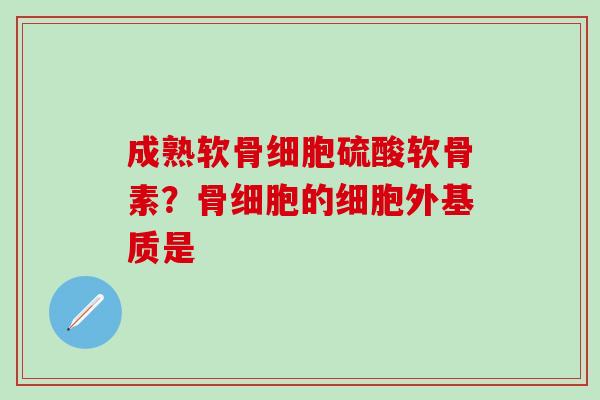 成熟软骨细胞硫酸软骨素?骨细胞的细胞外基质是 成熟软骨细胞硫酸软骨素?骨细胞的细胞外基质是