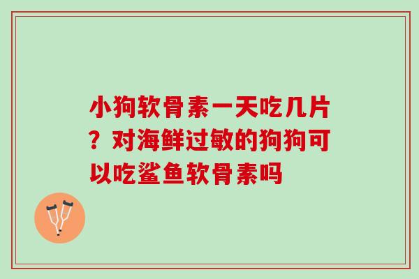小狗软骨素一天吃几片？对海鲜过敏的狗狗可以吃鲨鱼软骨素吗