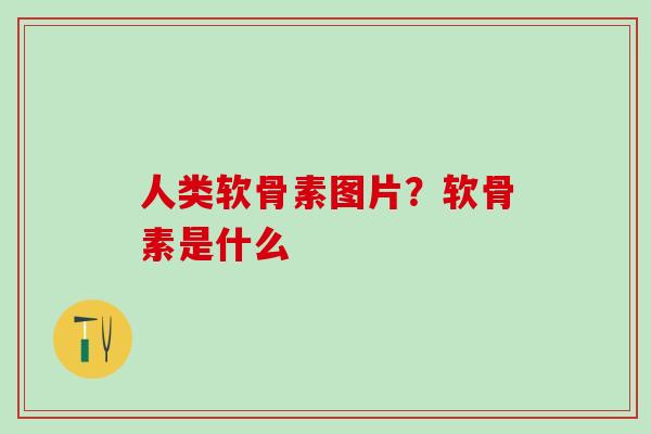 人类软骨素图片？软骨素是什么