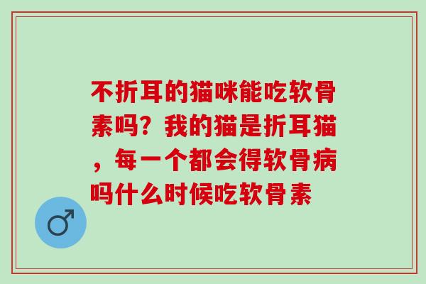 不折耳的猫咪能吃软骨素吗？我的猫是折耳猫，每一个都会得软骨病吗什么时候吃软骨素