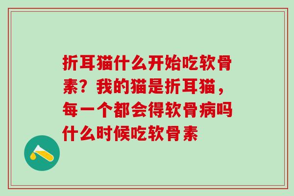 折耳猫什么开始吃软骨素？我的猫是折耳猫，每一个都会得软骨病吗什么时候吃软骨素