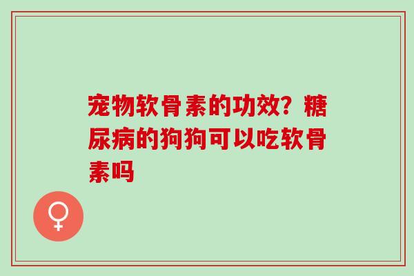 宠物软骨素的功效？糖尿病的狗狗可以吃软骨素吗