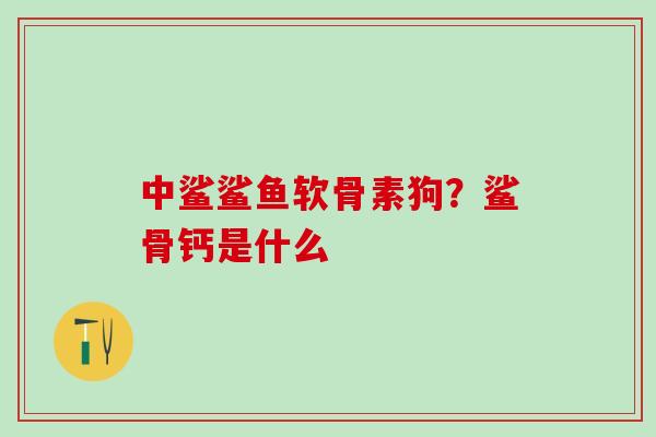 中鲨鲨鱼软骨素狗？鲨骨钙是什么