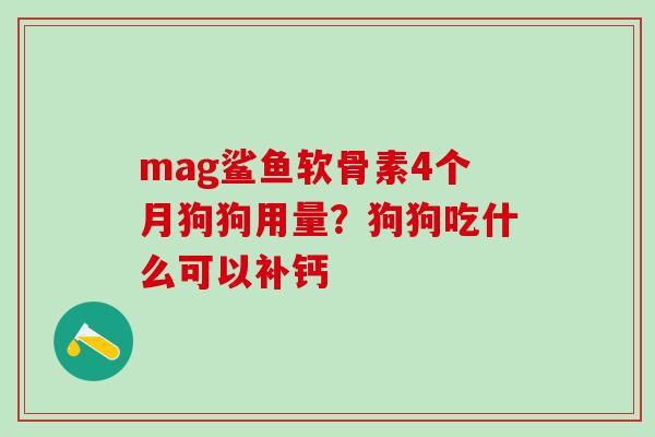 mag鲨鱼软骨素4个月狗狗用量？狗狗吃什么可以补钙