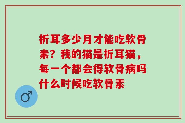 折耳多少月才能吃软骨素？我的猫是折耳猫，每一个都会得软骨病吗什么时候吃软骨素