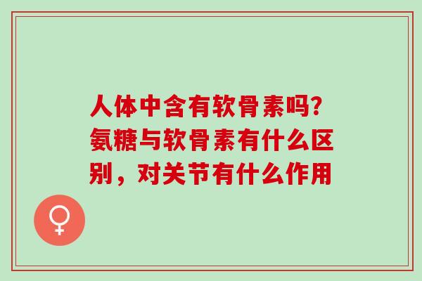 人体中含有软骨素吗？氨糖与软骨素有什么区别，对关节有什么作用