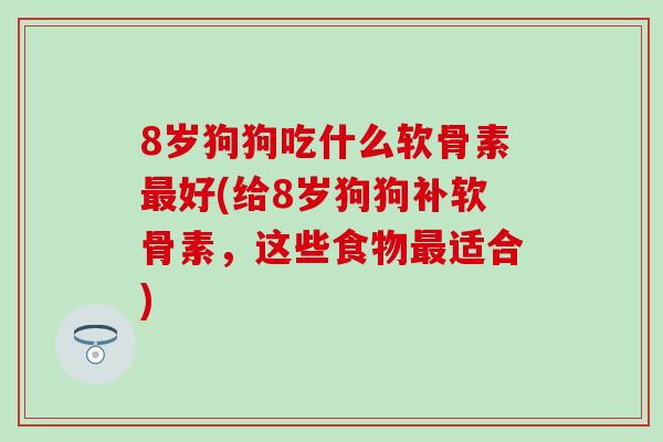 8岁狗狗吃什么软骨素最好(给8岁狗狗补软骨素，这些食物最适合)