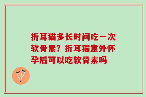 折耳猫多长时间吃一次软骨素？折耳猫意外怀孕后可以吃软骨素吗
