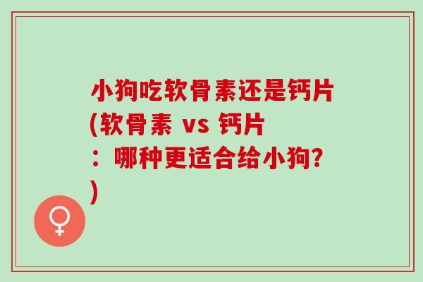 小狗吃软骨素还是钙片(软骨素 vs 钙片：哪种更适合给小狗？)