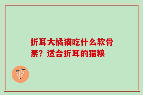 折耳大橘猫吃什么软骨素？适合折耳的猫粮