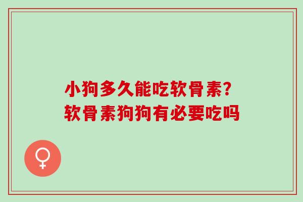 小狗多久能吃软骨素？软骨素狗狗有必要吃吗