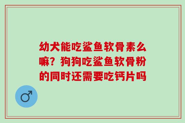 幼犬能吃鲨鱼软骨素么嘛？狗狗吃鲨鱼软骨粉的同时还需要吃钙片吗