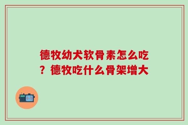 德牧幼犬软骨素怎么吃？德牧吃什么骨架增大