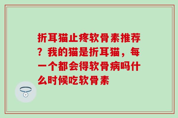 折耳猫止疼软骨素推荐？我的猫是折耳猫，每一个都会得软骨病吗什么时候吃软骨素