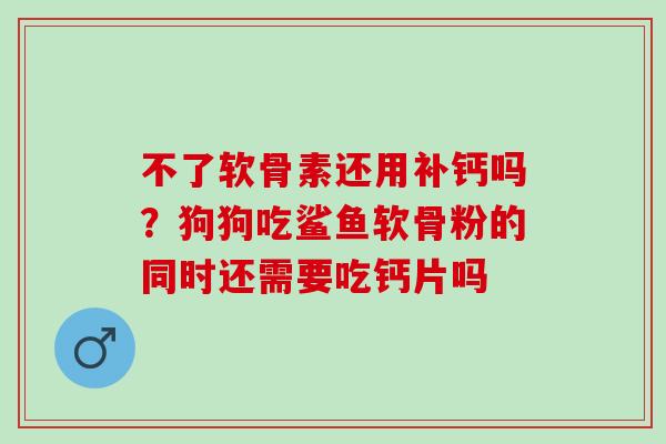 不了软骨素还用补钙吗？狗狗吃鲨鱼软骨粉的同时还需要吃钙片吗