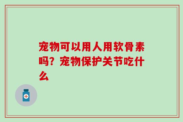 宠物可以用人用软骨素吗？宠物保护关节吃什么