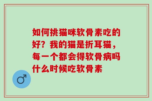 如何挑猫咪软骨素吃的好?我的猫是折耳猫,每一个都会得软骨吗什么时候吃软骨素 如何挑猫咪软骨素吃的好?我的猫是折耳猫,每一个都会得软骨吗什么时候吃软骨素