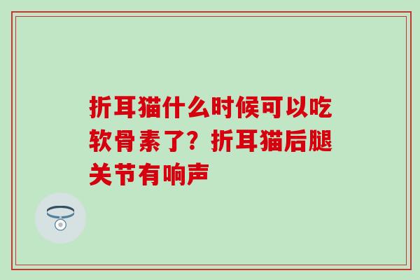 折耳猫什么时候可以吃软骨素了？折耳猫后腿关节有响声