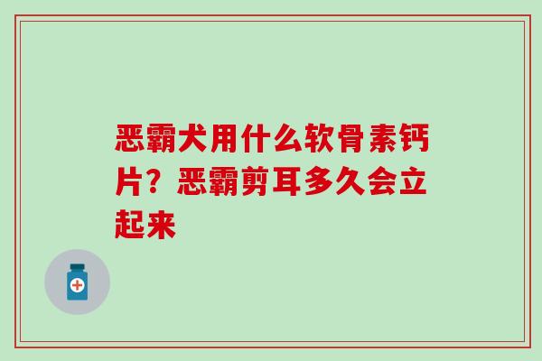 恶霸犬用什么软骨素钙片？恶霸剪耳多久会立起来