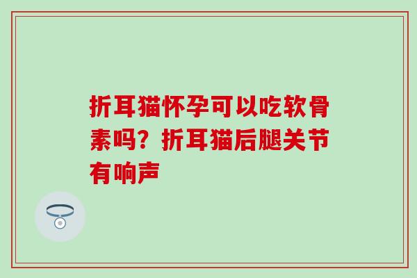 折耳猫怀孕可以吃软骨素吗？折耳猫后腿关节有响声