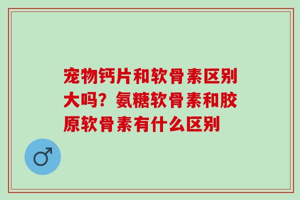 宠物钙片和软骨素区别大吗？氨糖软骨素和胶原软骨素有什么区别