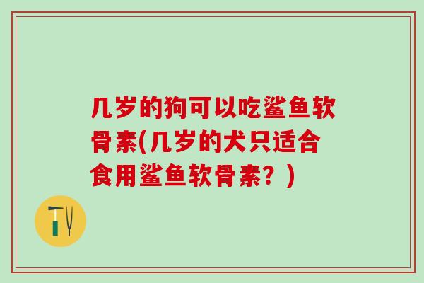 几岁的狗可以吃鲨鱼软骨素(几岁的犬只适合食用鲨鱼软骨素？)