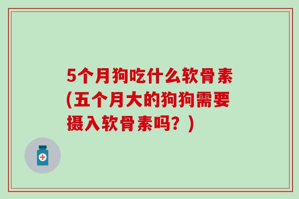 5个月狗吃什么软骨素(五个月大的狗狗需要摄入软骨素吗？)