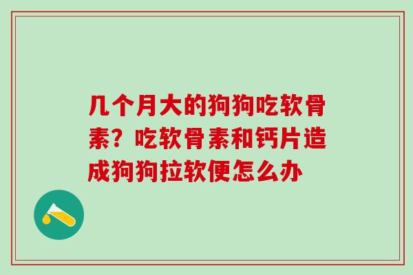 几个月大的狗狗吃软骨素？吃软骨素和钙片造成狗狗拉软便怎么办