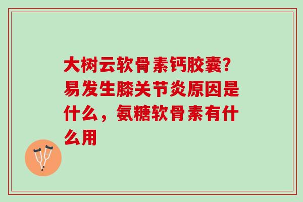 大树云软骨素钙胶囊？易发生膝关节炎原因是什么，氨糖软骨素有什么用
