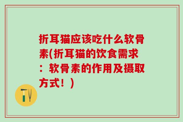 折耳猫应该吃什么软骨素(折耳猫的饮食需求：软骨素的作用及摄取方式！)