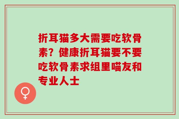 折耳猫多大需要吃软骨素？健康折耳猫要不要吃软骨素求组里喵友和专业人士