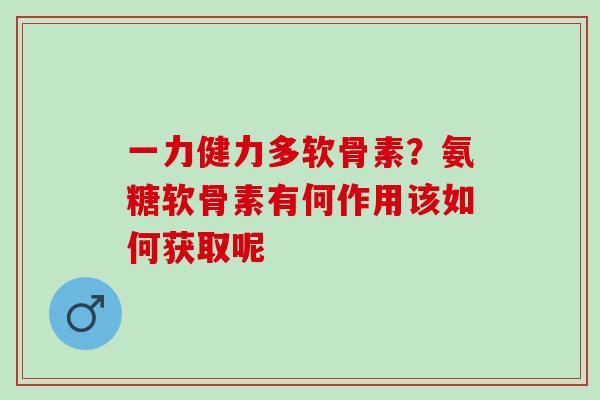 一力健力多软骨素？氨糖软骨素有何作用该如何获取呢