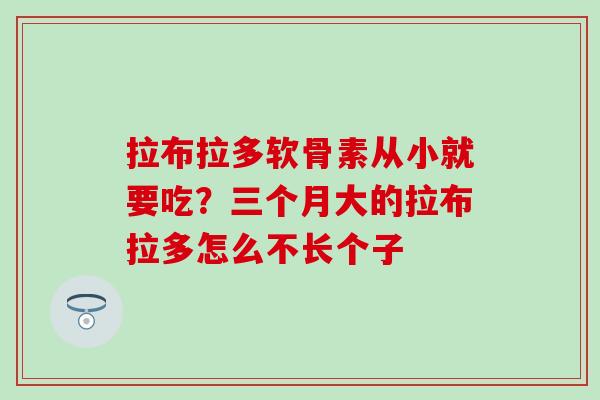 拉布拉多软骨素从小就要吃？三个月大的拉布拉多怎么不长个子
