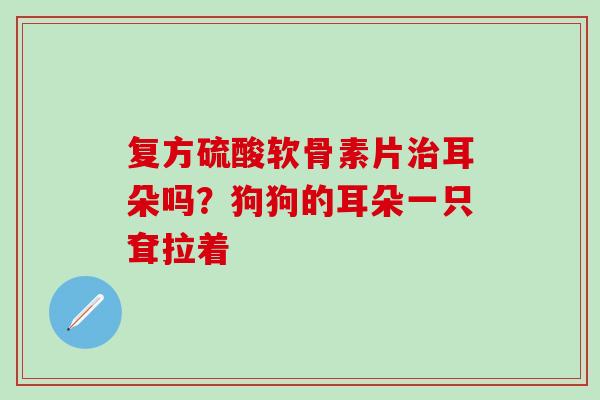 复方硫酸软骨素片治耳朵吗？狗狗的耳朵一只耷拉着